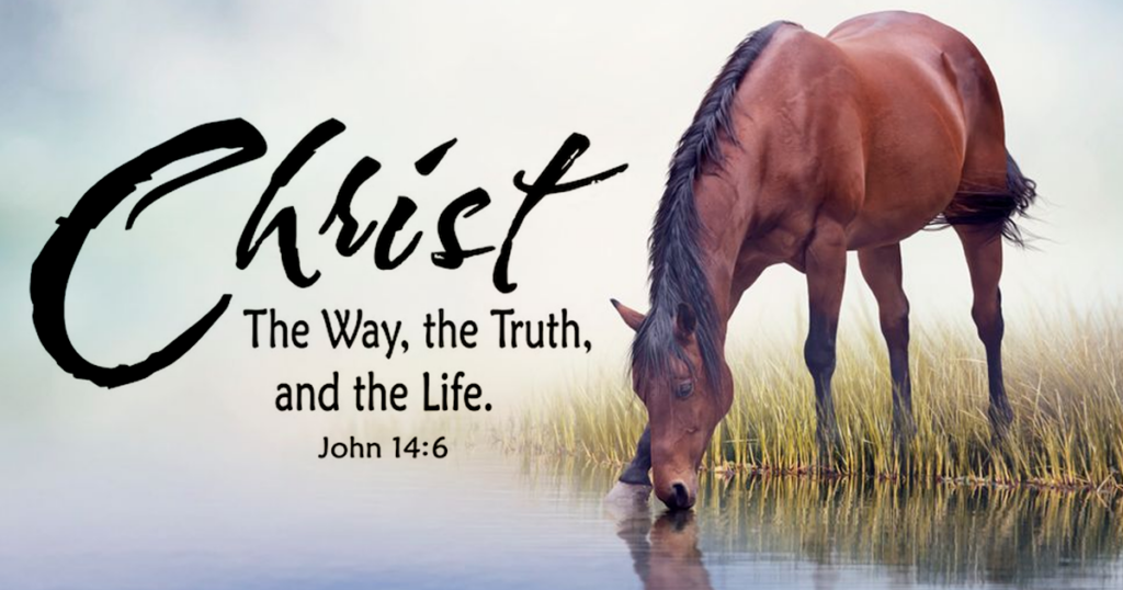Bible Verse John 14:6. Christ is The Way, The Truth and The Life. You can lead a horse to water, but you can't make it drink.