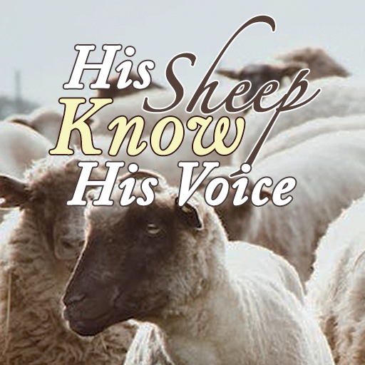 John 10:27, John 10:16, John 10:4 Bible verse, Christ's voice, His Sheep know Him, Truth, sound of truth, Letter to Gibraltar